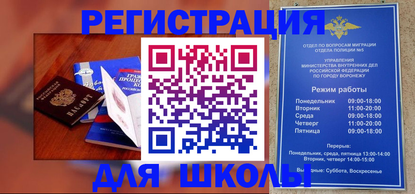 прописка для работы в Полярных Зорях